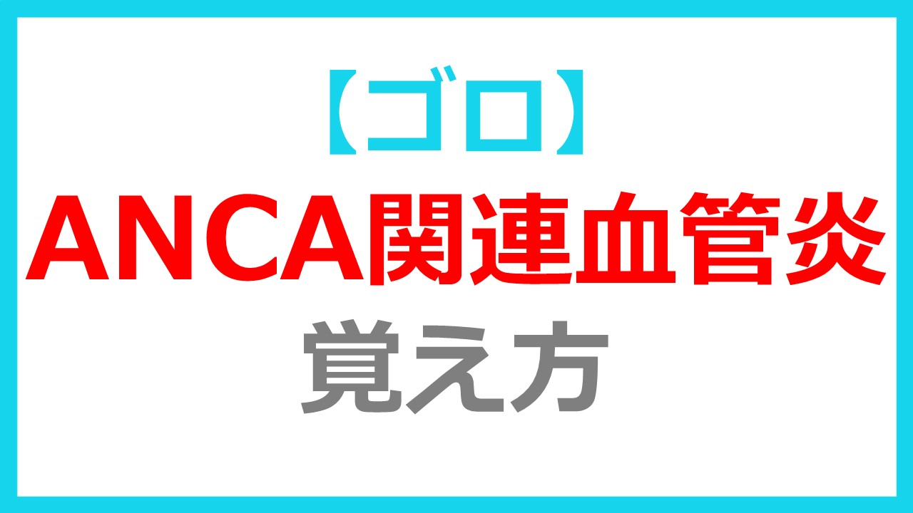 Anca 関連 血管 炎